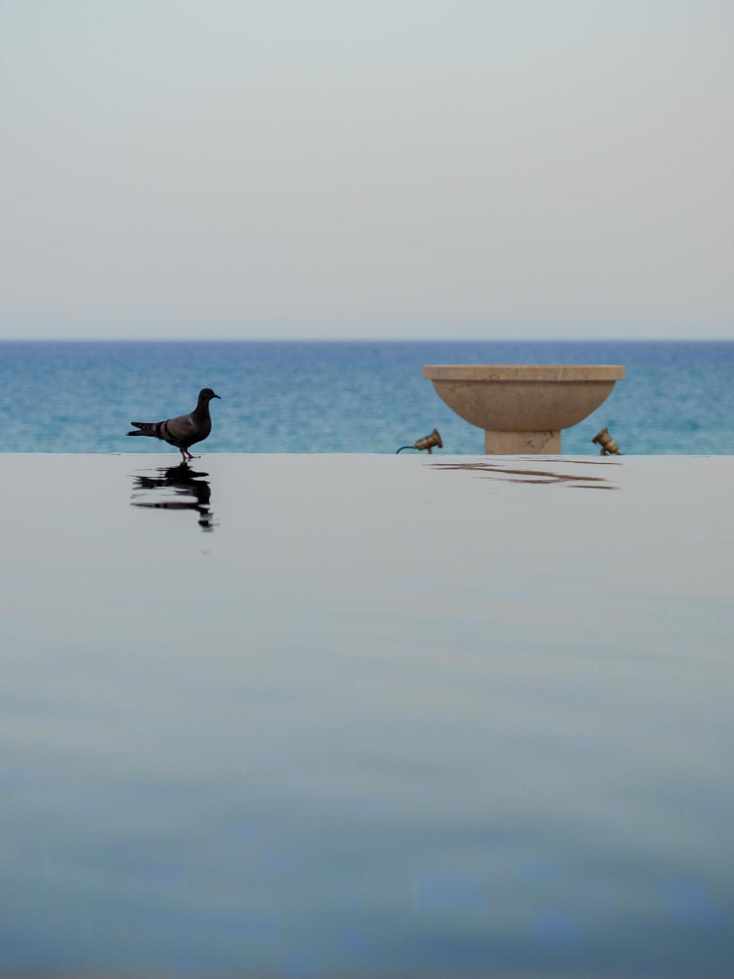 ホテル ラ バディラ 大人専用 ハンマメット エクステリア 写真 The fountain
